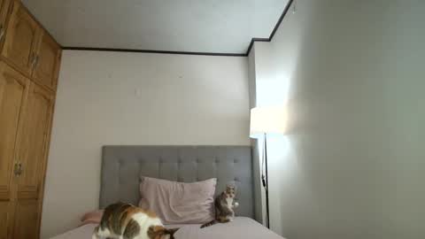 Snapshot of rosasanta8009 chatting on October 19, 2025, 8:31 pm I am Rosa online show from October 19, 2025, 8:31 pm