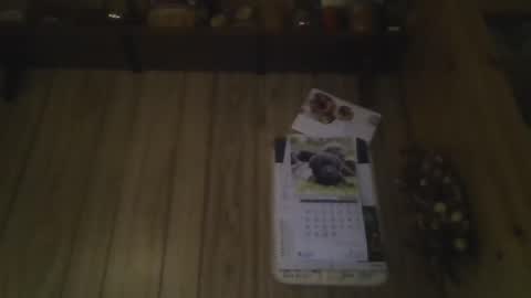 roses2u1958 online show from January 1, 2025, 8:04 pm