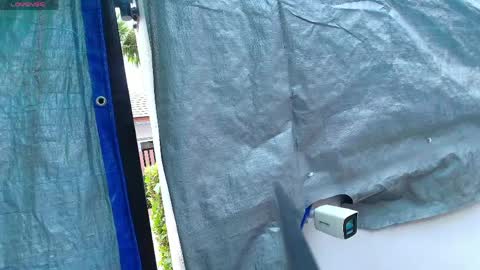 Rosy Shy online show from April 3, 2026, 5:49 am