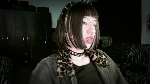 Snapshot of roxy_toxic chatting on May 11, 2026, 11:24 pm Roxy Independient model Help me to reach 50 thumbs up online show from May 11, 2026, 11:24 pm