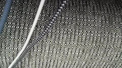 Snapshot of roxylove369 chatting on April 3, 2026, 2:31 am roxylove369 online show from April 3, 2026, 2:31 am