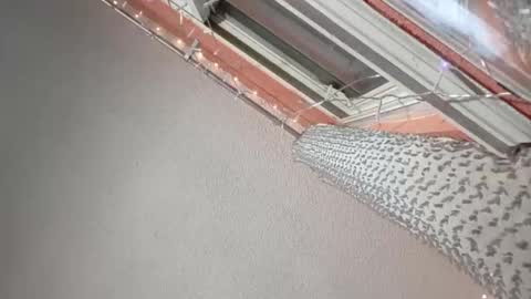 rraineonme online show from January 12, 2026, 10:09 am