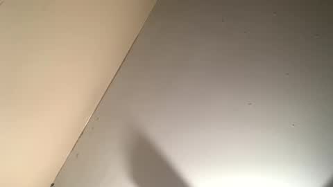 rrod2147 online show from February 25, 2025, 2:58 am