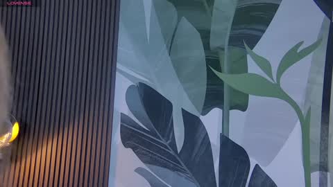 Snapshot of rubyvalen chatting on December 28, 2024, 1:29 am Ruby online show from December 28, 2024, 1:29 am