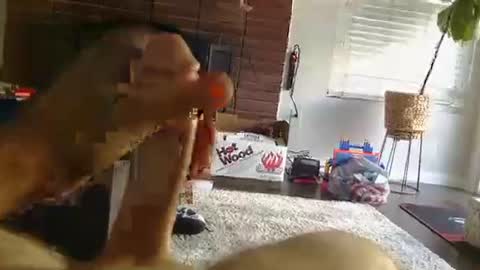 Snapshot of ryanbobby88 chatting on September 25, 2025, 12:25 am ryanbobby88 online show from September 25, 2025, 12:25 am