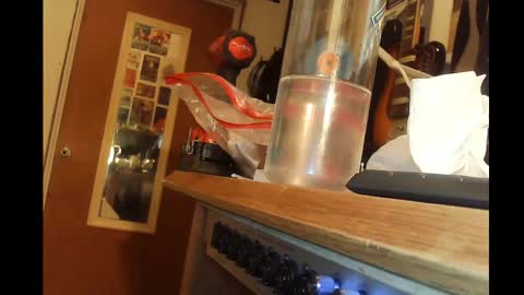 rynoxox online show from February 23, 2026, 5:16 am