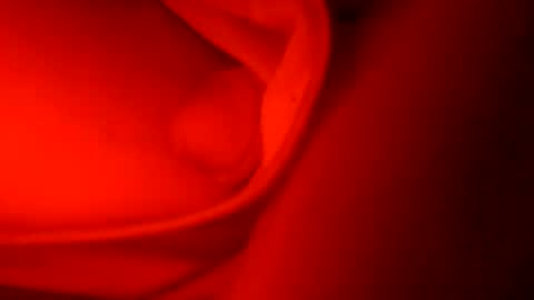 Snapshot of ryucravenmore chatting on October 5, 2025, 1:09 pm ryucravenmore online show from October 5, 2025, 1:09 pm