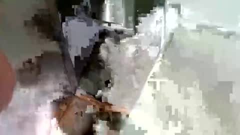 Snapshot of ryucravenmore chatting on October 14, 2025, 3:35 pm ryucravenmore online show from October 14, 2025, 3:35 pm