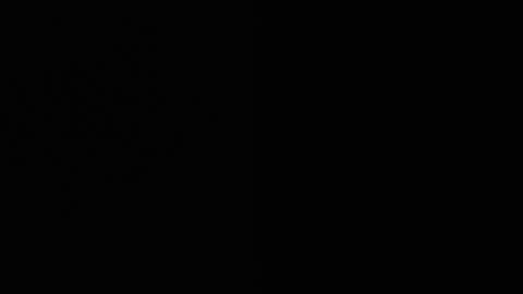 Ryushi009 online show from January 21, 2025, 8:41 am