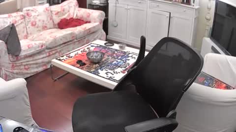 s3xyboy79 online show from April 26, 2026, 1:47 am