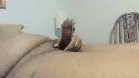 Snapshot of s901258 chatting on December 8, 2024, 1:58 pm s901258 online show from December 8, 2024, 1:58 pm