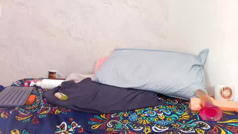 Snapshot of s_sofia_ chatting on December 31, 2024, 1:15 am s_sofia_ online show from December 31, 2024, 1:15 am