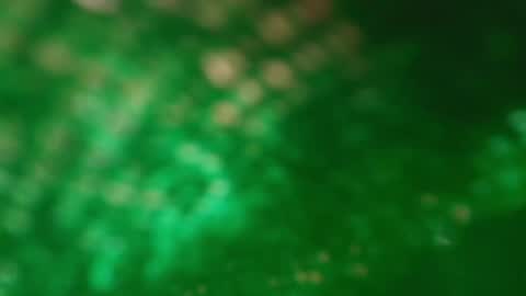 Snapshot of s_sofia_ chatting on January 25, 2025, 1:21 am s_sofia_ online show from January 25, 2025, 1:21 am