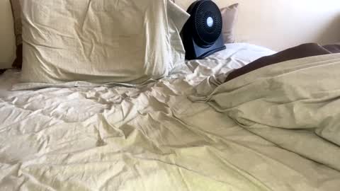 R online show from January 26, 2025, 9:18 pm