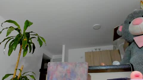 Snapshot of sahra_belmont chatting on December 7, 2024, 8:55 am Sara online show from December 7, 2024, 8:55 am