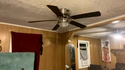 Snapshot of sailaway9694 chatting on October 10, 2025, 2:10 am PupTwink online show from October 10, 2025, 2:10 am