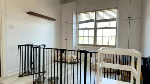 Cum Hanks online show from March 13, 2026, 2:23 pm