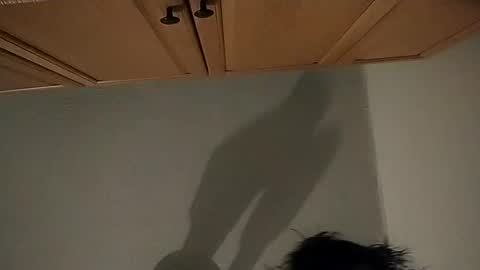 Snapshot of salmonman1305 chatting on January 2, 2025, 1:17 am salmonman1305 online show from January 2, 2025, 1:17 am