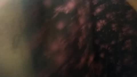 Snapshot of salmonman1305 chatting on January 17, 2025, 11:49 am salmonman1305 online show from January 17, 2025, 11:49 am