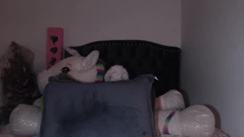 Snapshot of salomefox2 chatting on February 7, 2025, 7:40 am yenny online show from February 7, 2025, 7:40 am