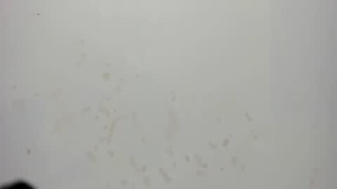 sam_naughty18 online show from July 18, 2026, 2:38 am