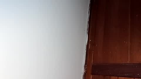 sam online show from February 28, 2025, 7:26 am