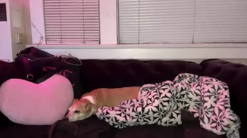 samanthafever online show from April 7, 2026, 11:54 am