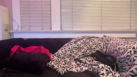 samanthafever online show from April 11, 2026, 2:38 am