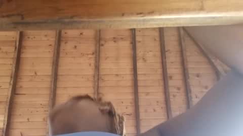 Snapshot of samanthamilan chatting on March 8, 2025, 12:09 pm Alejandra online show from March 8, 2025, 12:09 pm