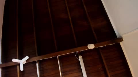 Snapshot of samanthamilan chatting on October 24, 2025, 10:00 am Alejandra online show from October 24, 2025, 10:00 am