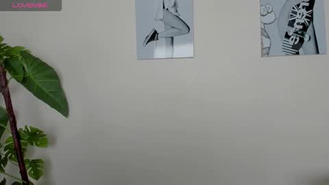 Samay online show from November 23, 2025, 2:17 pm