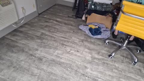 samboiamtho online show from January 3, 2025, 12:43 am