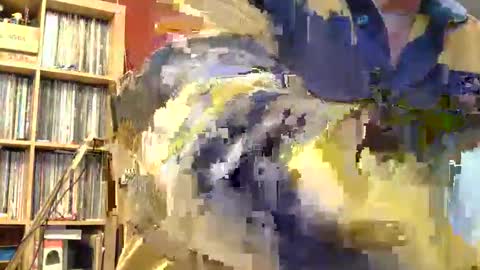 Snapshot of samsenior70 chatting on November 8, 2025, 11:58 pm Sam online show from November 8, 2025, 11:58 pm