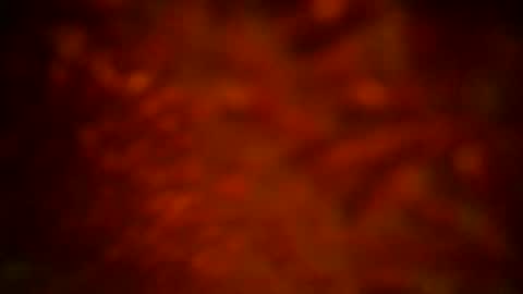 Snapshot of samueltal chatting on September 16, 2025, 12:11 am samueltal online show from September 16, 2025, 12:11 am