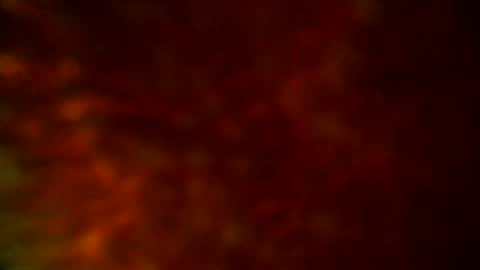 Snapshot of samueltal chatting on September 19, 2025, 9:48 pm samueltal online show from September 19, 2025, 9:48 pm