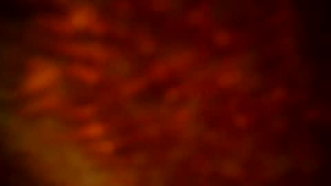 Snapshot of samueltal chatting on September 22, 2025, 9:50 pm samueltal online show from September 22, 2025, 9:50 pm