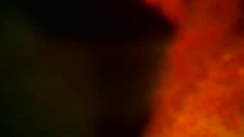 Snapshot of samueltal chatting on October 14, 2025, 9:15 pm samueltal online show from October 14, 2025, 9:15 pm