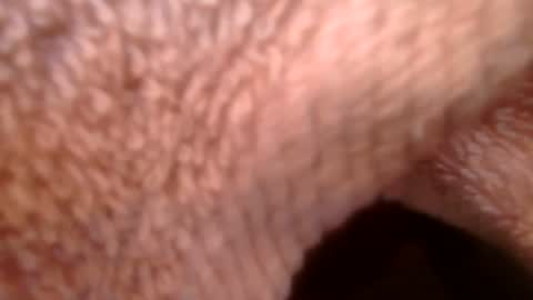 Snapshot of samueltal chatting on February 21, 2026, 9:21 am samueltal online show from February 21, 2026, 9:21 am