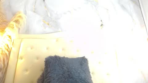 S A M A N T H A  online show from December 13, 2025, 7:53 pm