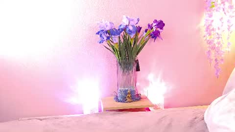 Snapshot of sandrami__ chatting on July 27, 2026, 10:55 am Sandra online show from July 27, 2026, 10:55 am