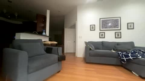 Snapshot of santanacd chatting on February 21, 2026, 6:03 am Santana online show from February 21, 2026, 6:03 am