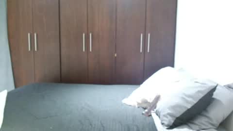 Snapshot of santti_torres chatting on June 7, 2026, 4:27 am Santy Torres online show from June 7, 2026, 4:27 am