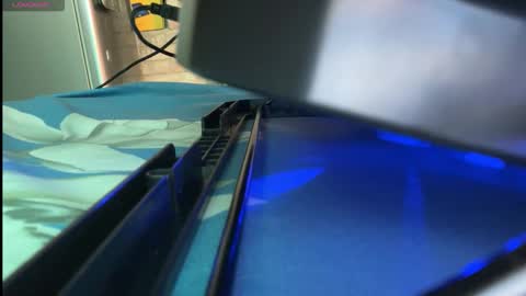 sara kajal online show from December 21, 2025, 9:16 am