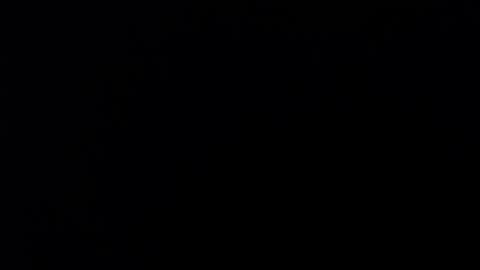 Sara Parker online show from December 3, 2025, 2:30 am