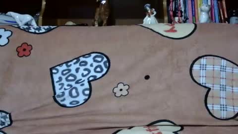 Sarra online show from December 2, 2024, 5:26 pm