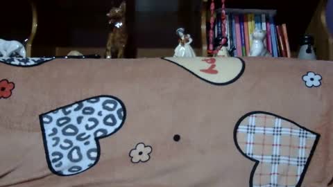 Sarra online show from January 21, 2025, 2:37 pm