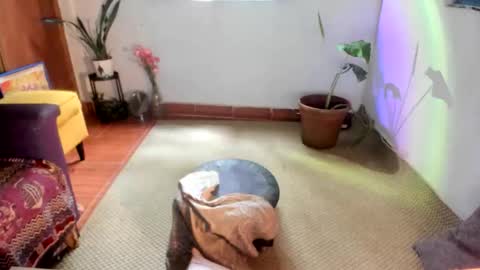 Snapshot of sassy_xyou chatting on January 15, 2026, 6:33 pm Ms. Oh online show from January 15, 2026, 6:33 pm