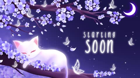 Sassy Sami Kittyn online show from January 3, 2025, 6:11 am