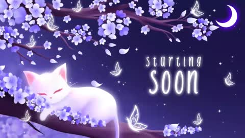 Sassy Sami Kittyn online show from October 21, 2025, 5:08 am