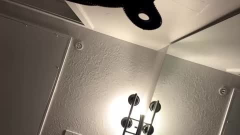 Snapshot of sassyseductive chatting on June 3, 2026, 1:30 am sassyseductive online show from June 3, 2026, 1:30 am